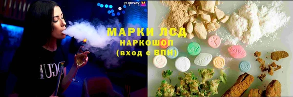 спиды Новозыбков