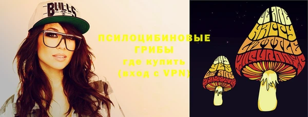 спиды Новозыбков