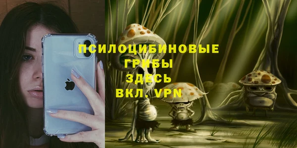 спиды Новозыбков