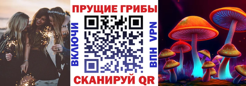 Галлюциногенные грибы Psilocybe  MEGA как войти  Никольское 