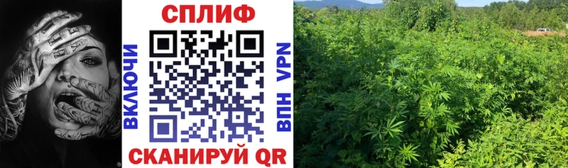 Канабис Ganja  закладки  Никольское 